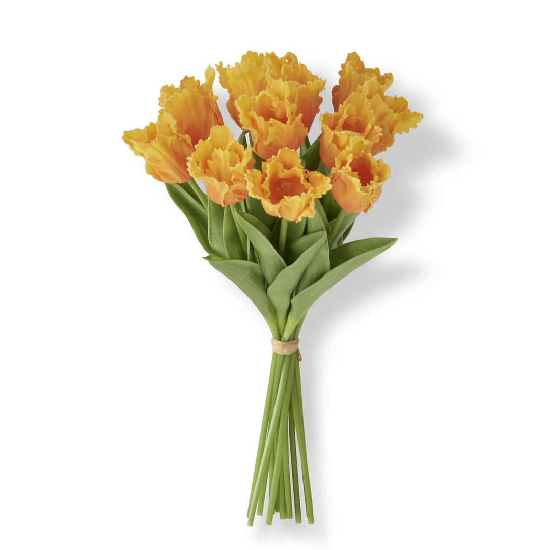 Light Orange Parrot Tulip Bundle
