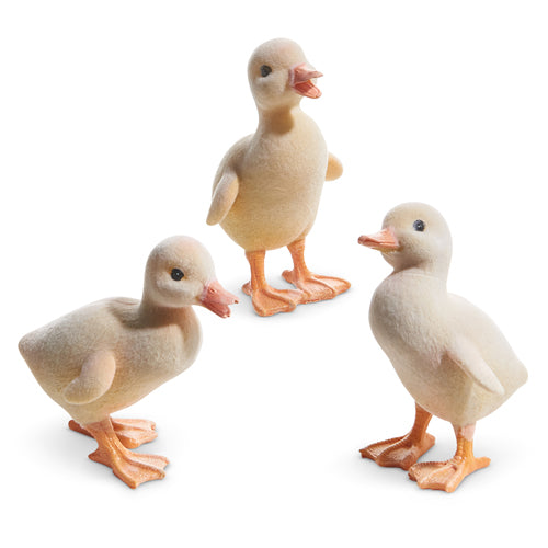 Flocked Duckling