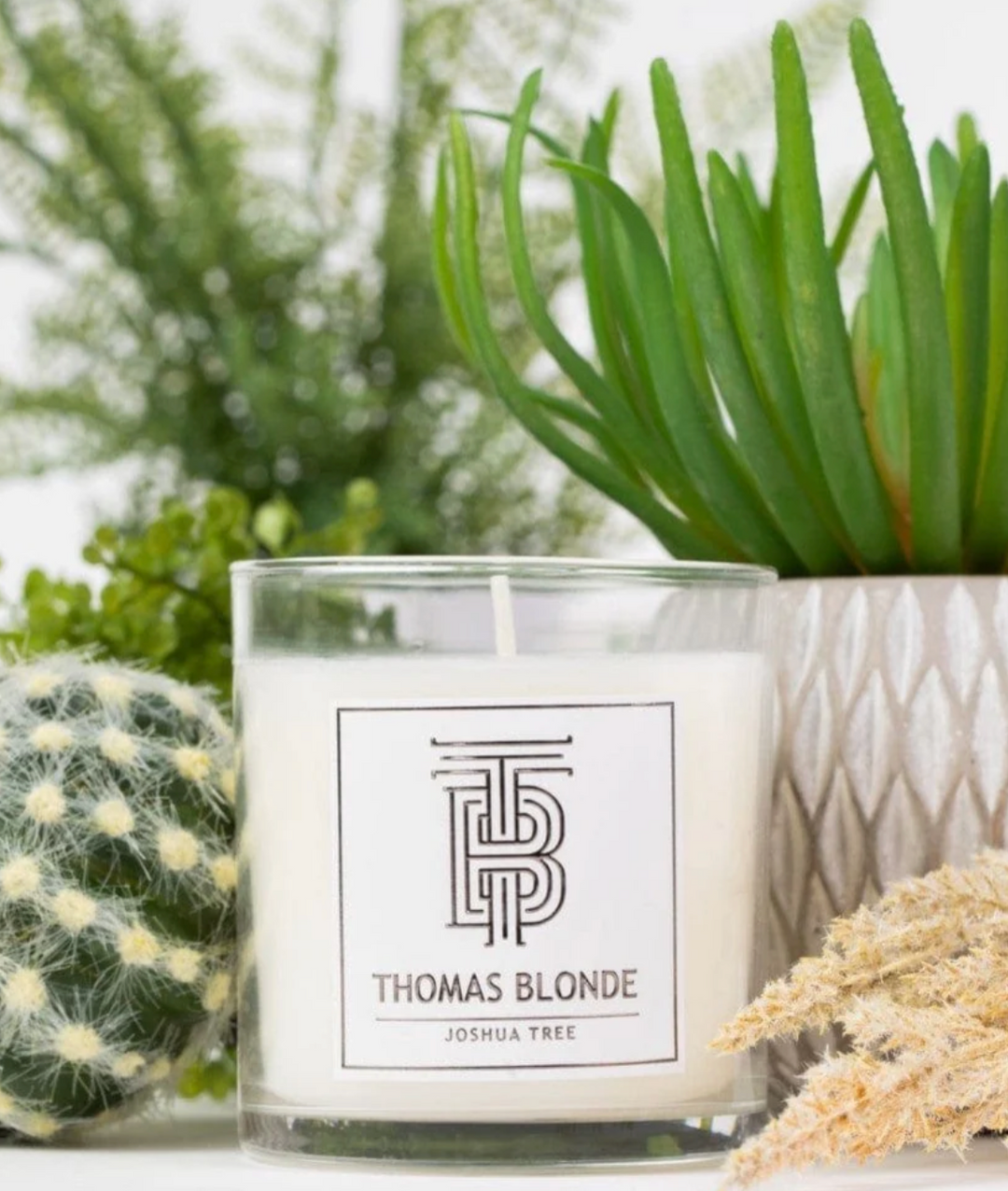Joshua Tree Candle