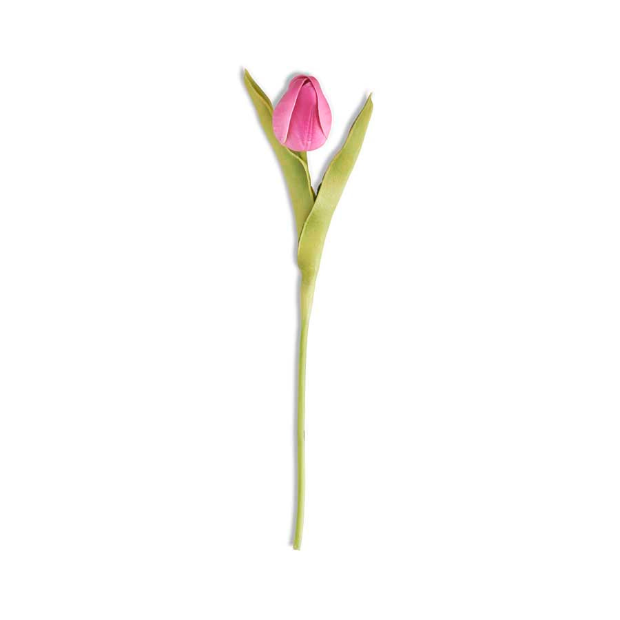 Fuchsia Mini Tulip
