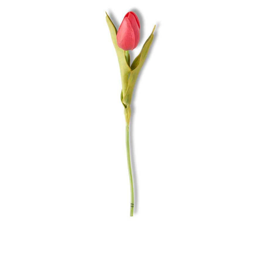 Red Mini Tulip