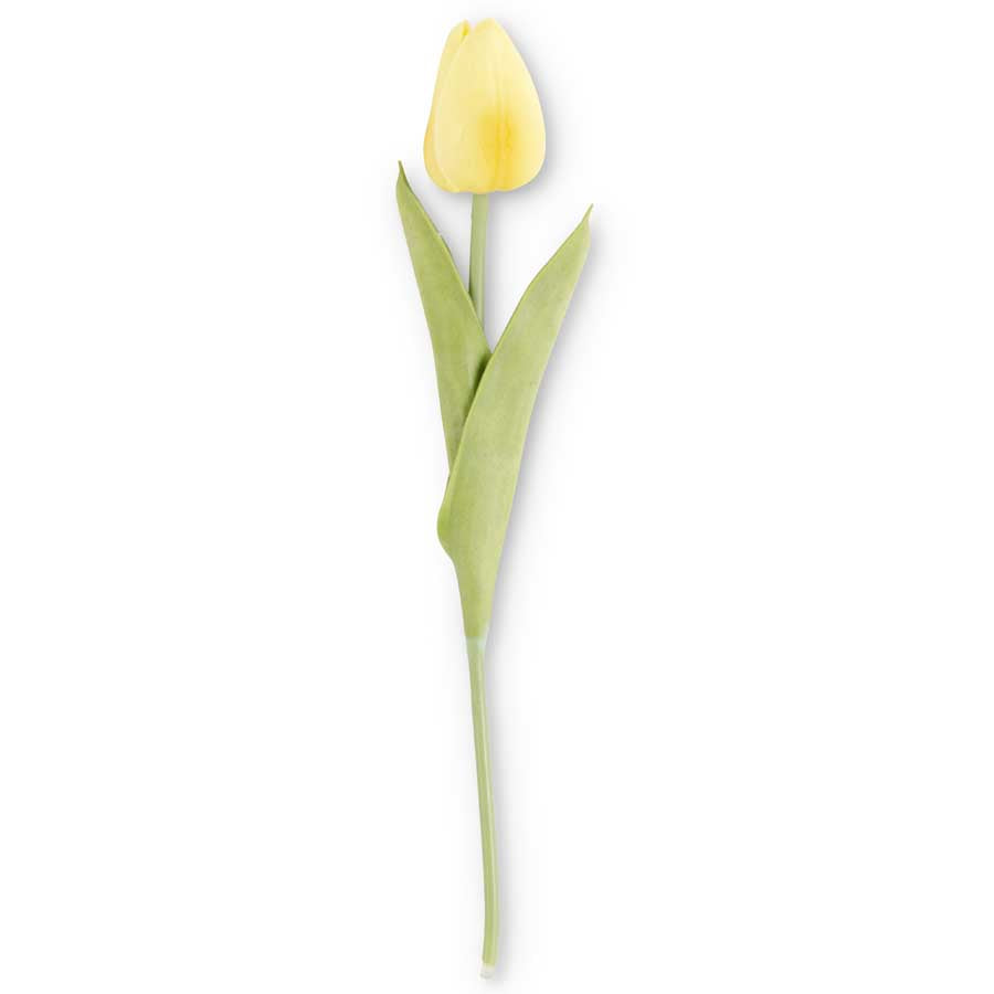 Light Yellow Mini Tulip
