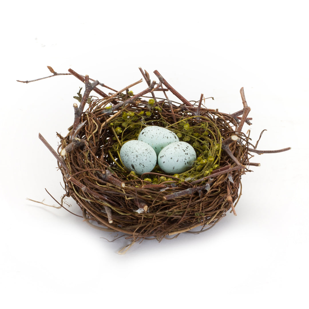 Bird Nest w/Blue Eggs