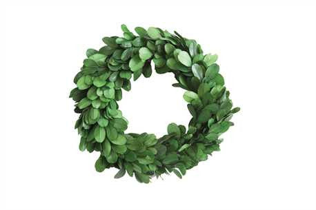 Preserved Boxwood Wreath, 6"