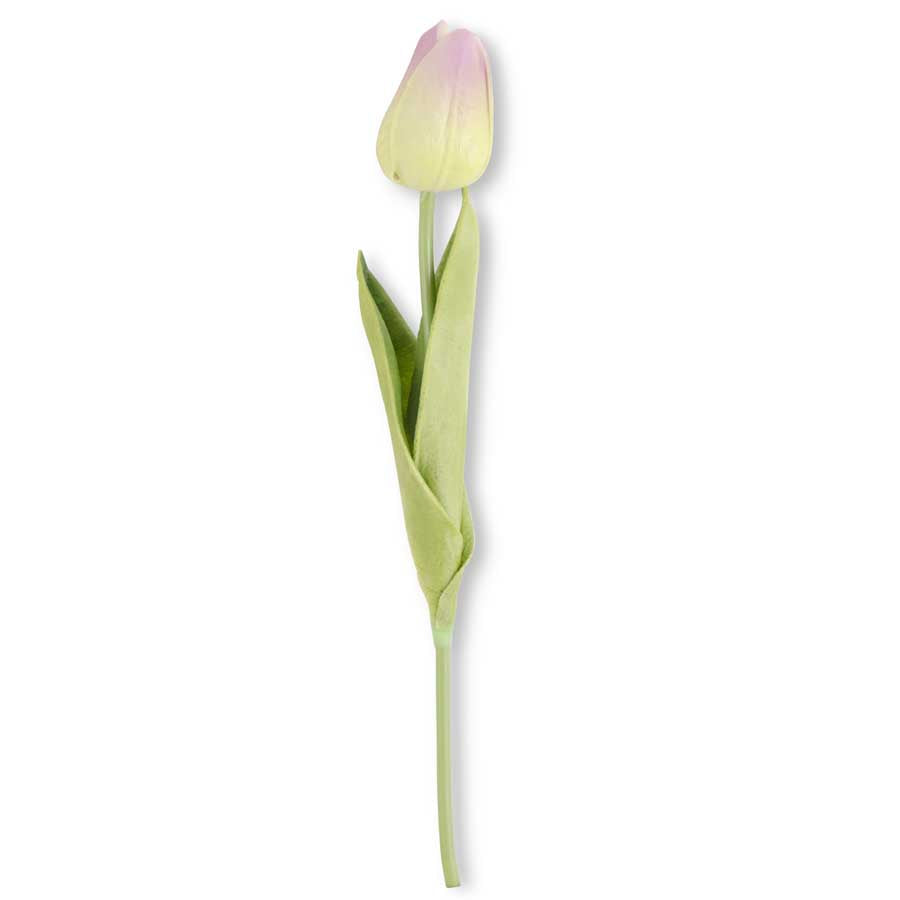 Green/Purple Mini Tulip