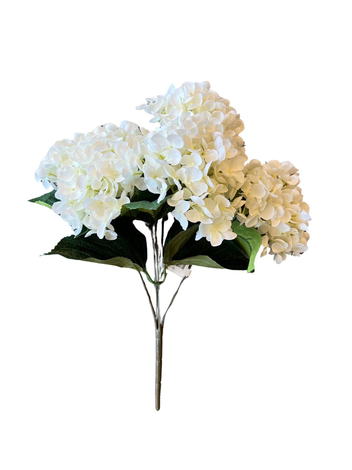 Hydrangea White Spray