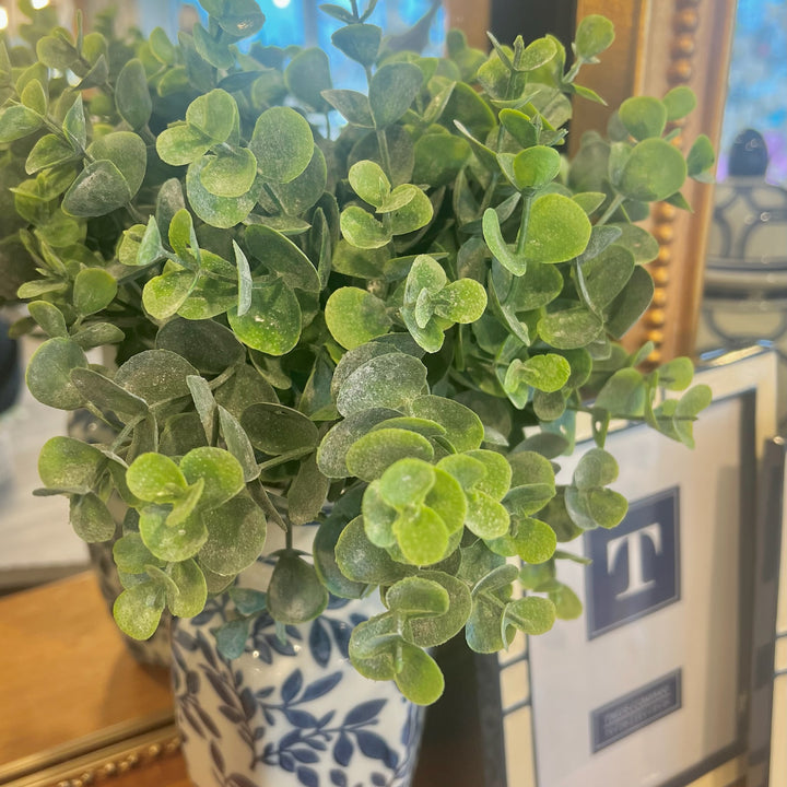 Eucalyptus Pick