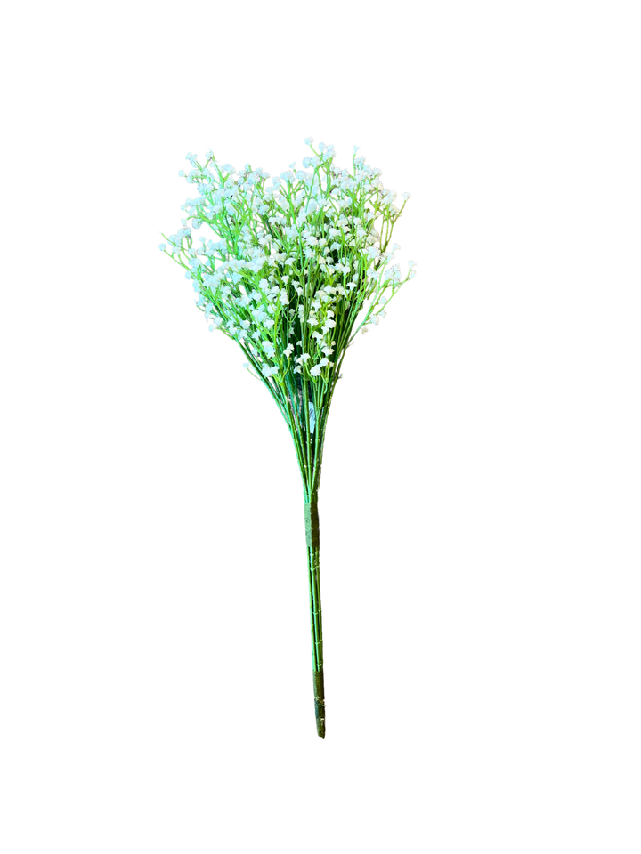 White Gypsy Bush, Large