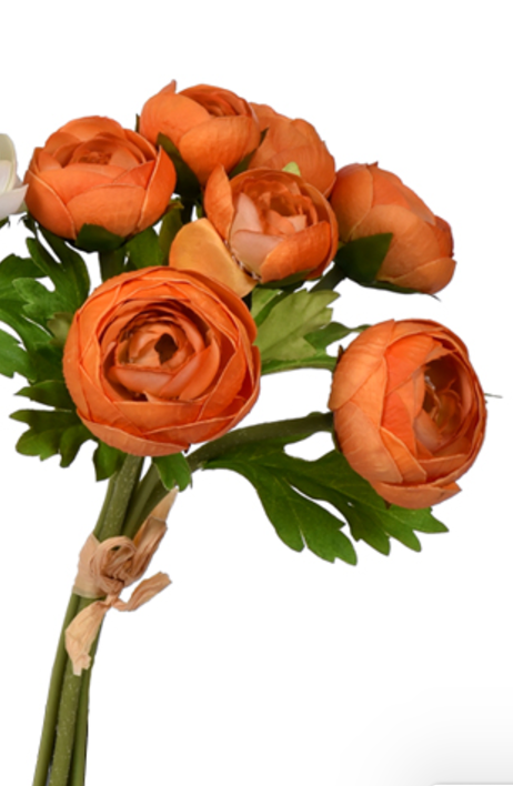 Ranunculus Bundle