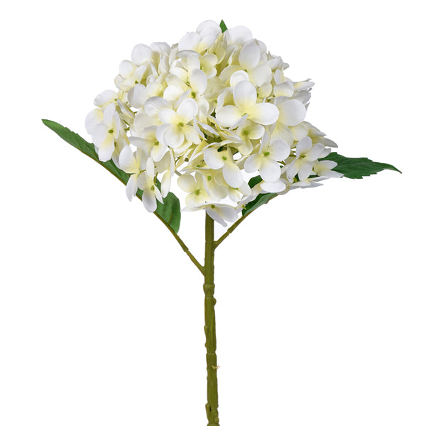 Large Hydrangea Stem