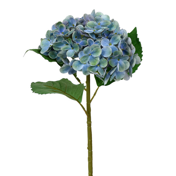 Large Hydrangea Stem