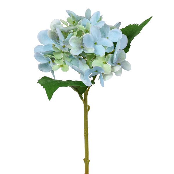 Small Hydrangea Stem