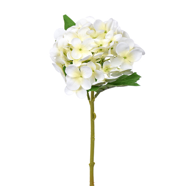 Small Hydrangea Stem