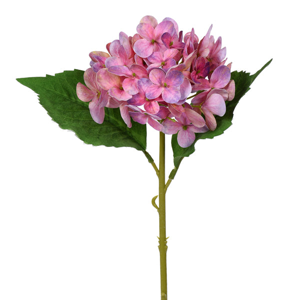 Small Hydrangea Stem