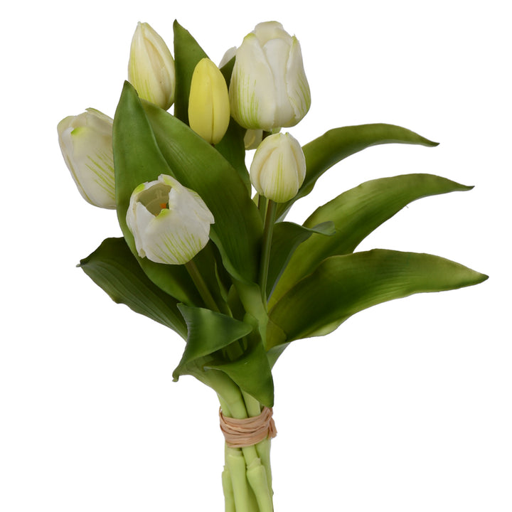 Tulip Bundle