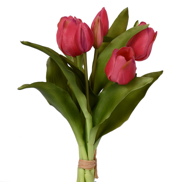 Tulip Bundle
