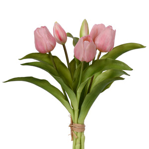 Tulip Bundle