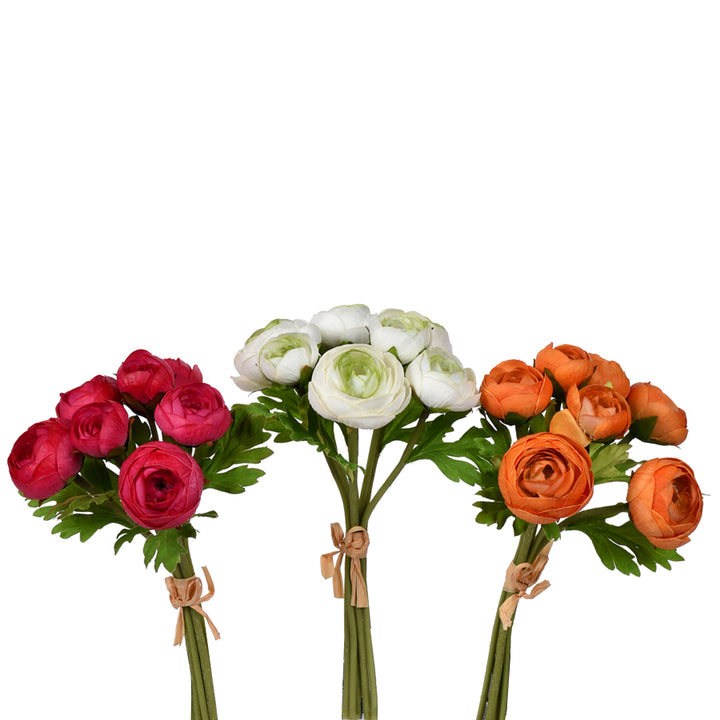 Ranunculus Bundle