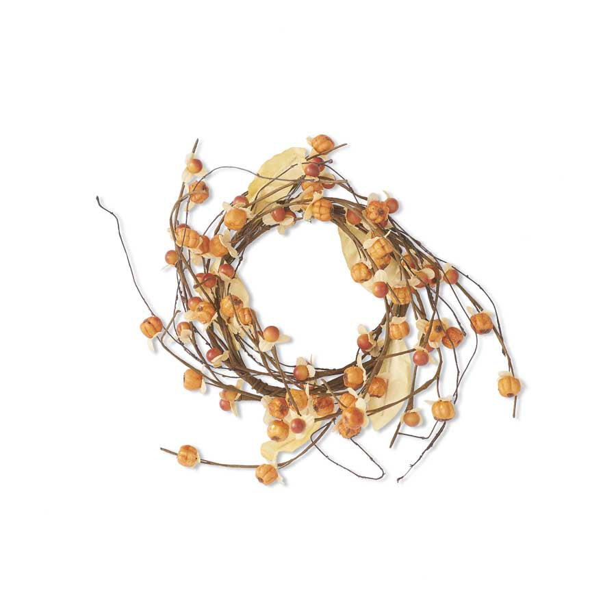 Orange bittersweet with orange mini pumpkins