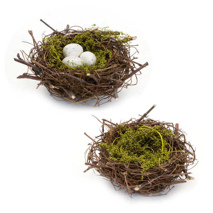 Bird Twig Nest
