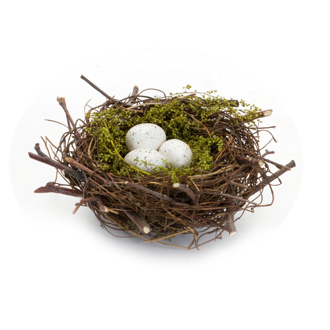 Bird Twig Nest