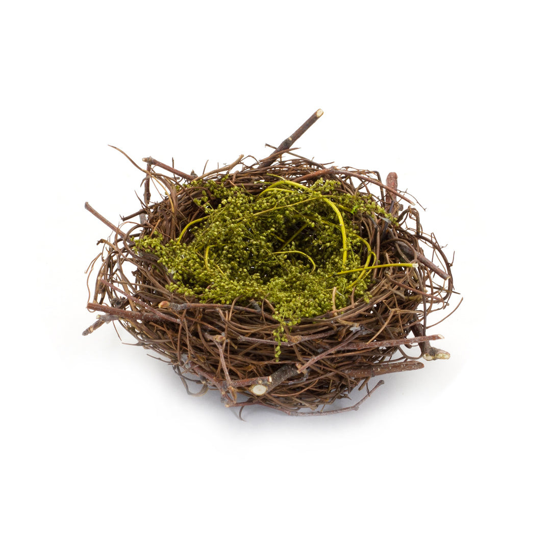 Bird Twig Nest